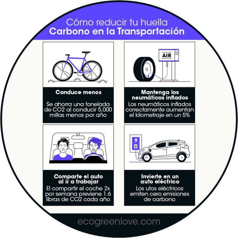Consejos para reducir tu huella de carbono en Transportación | ecogreenlove